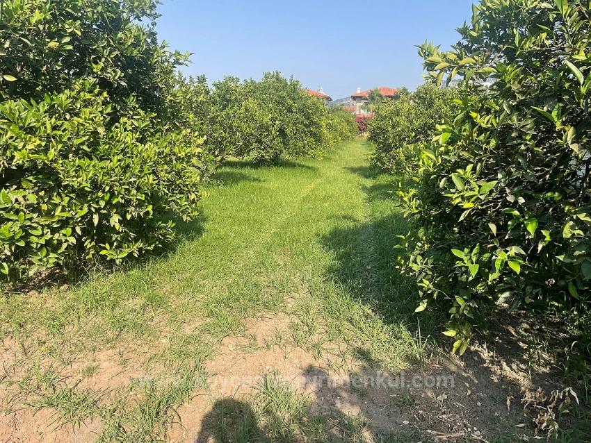 Land For Sale in Dalyan Nbh. Ortaca - Housing Zoned - 722 m²
