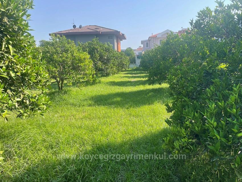 722M2 Land For Sale In Dalyan Gülpınar