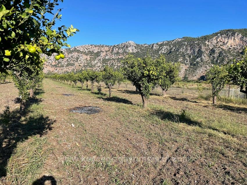6600M2 Plot Of Land For Sale Near The Center Of Dalyan.