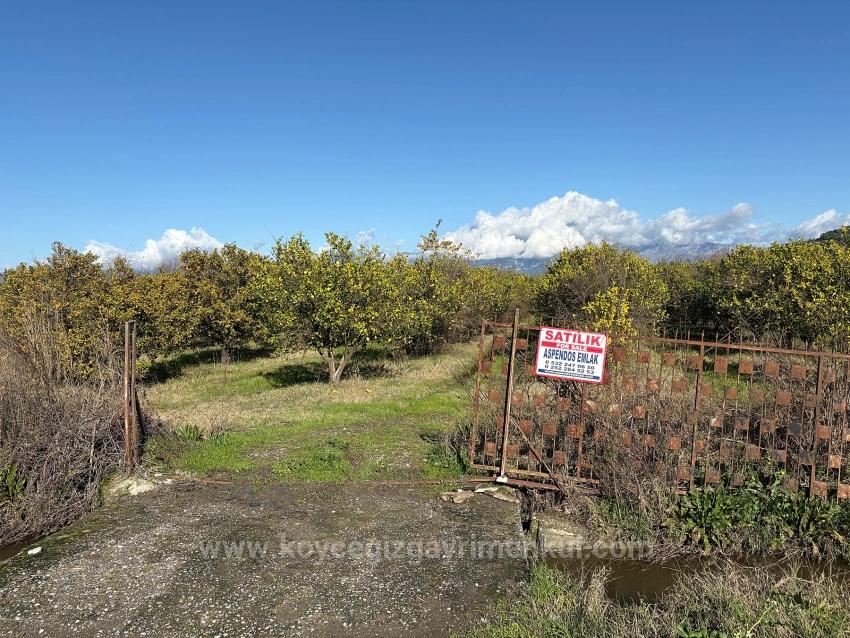 23,000 M² Detached Land For Sale In Tepearası.