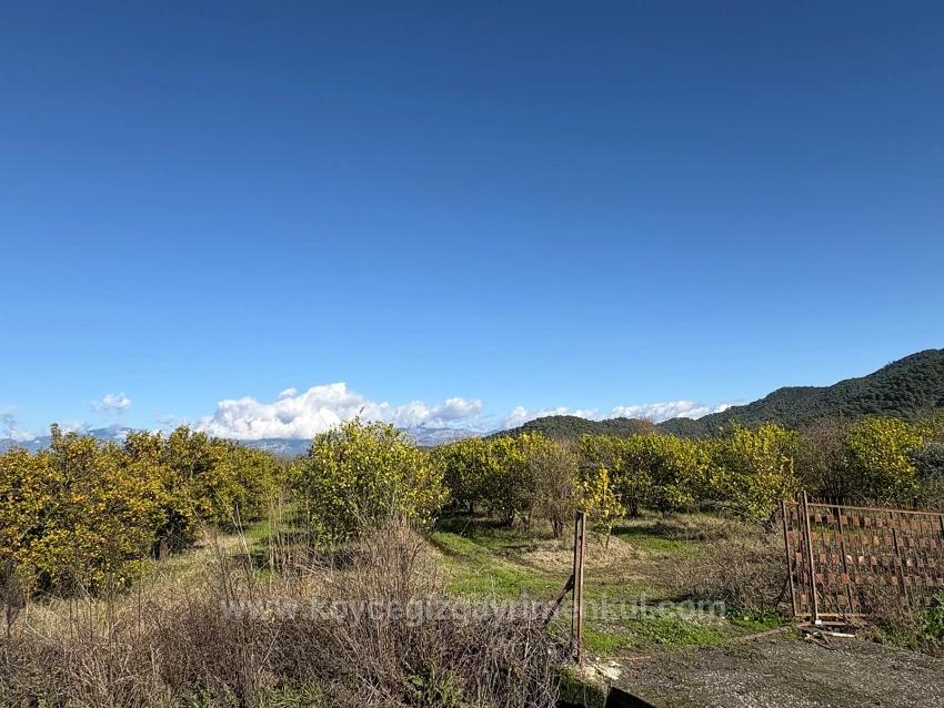 23,000 M² Detached Land For Sale In Tepearası.