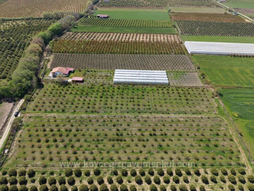 Field For Sale in Eskiköy Nbh. Ortaca - Field Zoned - 16.000 m²