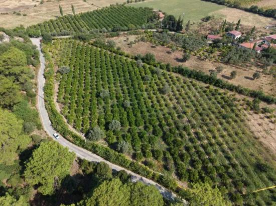 Village Of Köyceğiz Çandır Neighbourhood With Zero Channel 20,000m2 For Sale Land
