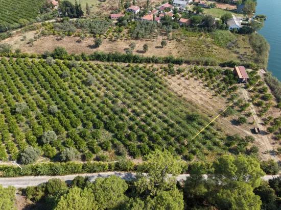 Village Of Köyceğiz Çandır Neighbourhood With Zero Channel 20,000m2 For Sale Land