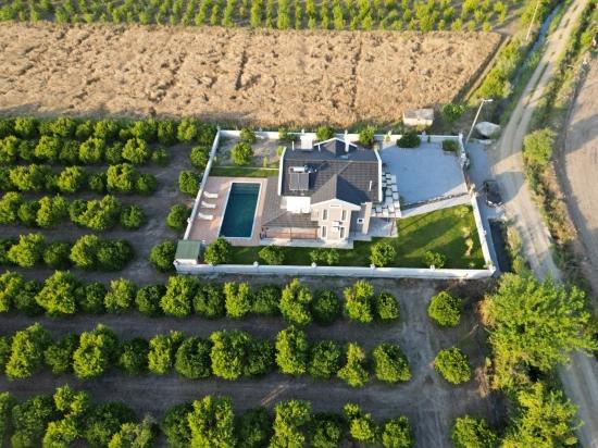 4+1 Villa For Sale In Eskiköy, Located In A 14,136 M2 Field