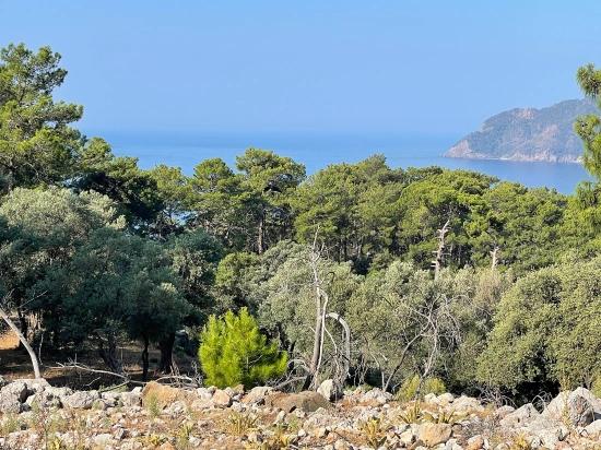 Bargain Real Estate Land For Sale With Sea View In Ekincik Çandır Arasın