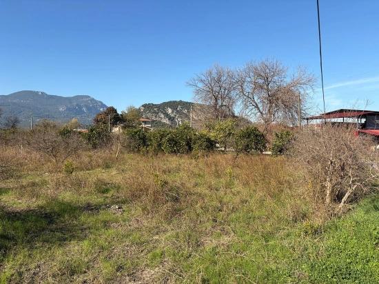4,541 M² Garden For Sale In Dalyan.