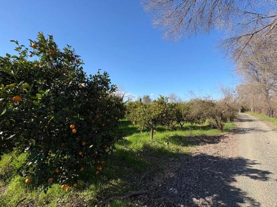 4,326 M² Plot Of Land For Sale In The Residential Area Of Okçular.