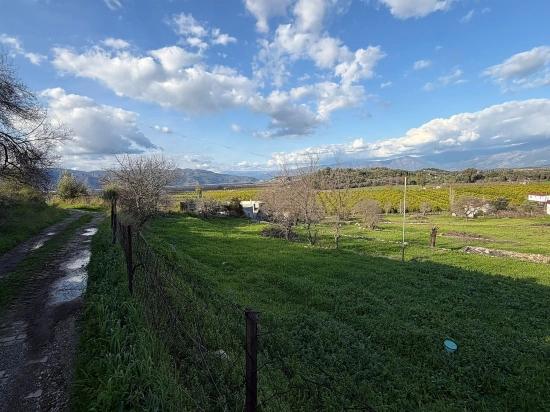 11,230 M² Plot Of Land For Sale In Dalyan With Lake View.