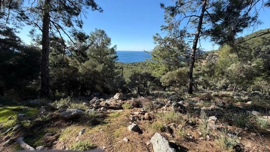 2b Field Of 5715m2 For Sale With Full Sea View In Çandır
