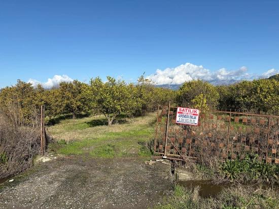 23,000 M² Detached Land For Sale In Tepearası.
