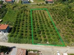 Land For Sale in Okçular Nbh. Ortaca - Housing Zoned - 1.050 m²