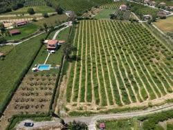 Field For Sale in Dalyan Nbh. Ortaca - Field Zoned - 5.100 m²