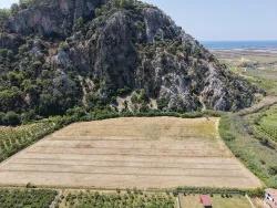 Field For Sale in Dalyan Nbh. Ortaca - Field Zoned - 20.786 m²
