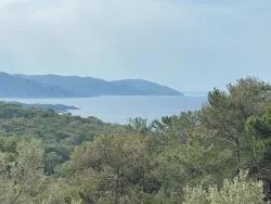 Field For Sale in Ekincik Nbh. Köyceğiz - Olive Zoned - 7.000 m²