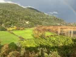 Terrain For Sale in Çandır Nbh. Köyceğiz - Field Zoned - 35.000 m²