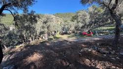 2B Field Of 5715M2 For Sale With Full Sea View In Çandır