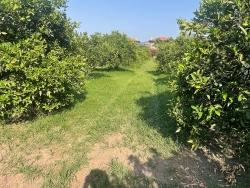 Land For Sale in Dalyan Nbh. Ortaca - Housing Zoned - 722 m²