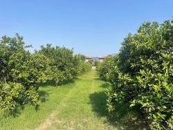 Land For Sale in Dalyan Nbh. Ortaca - Housing Zoned - 722 m²