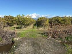 Field For Sale in Tepearası Nbh. Ortaca - Vineyards & Orchards Zoned - 23.000 m²