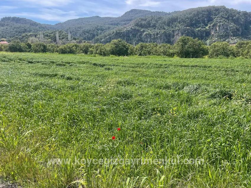 В Окчуларе 736m2 Общая Площадь 250m2 Строительная Разрешение Имеется Продается Земельный Участок