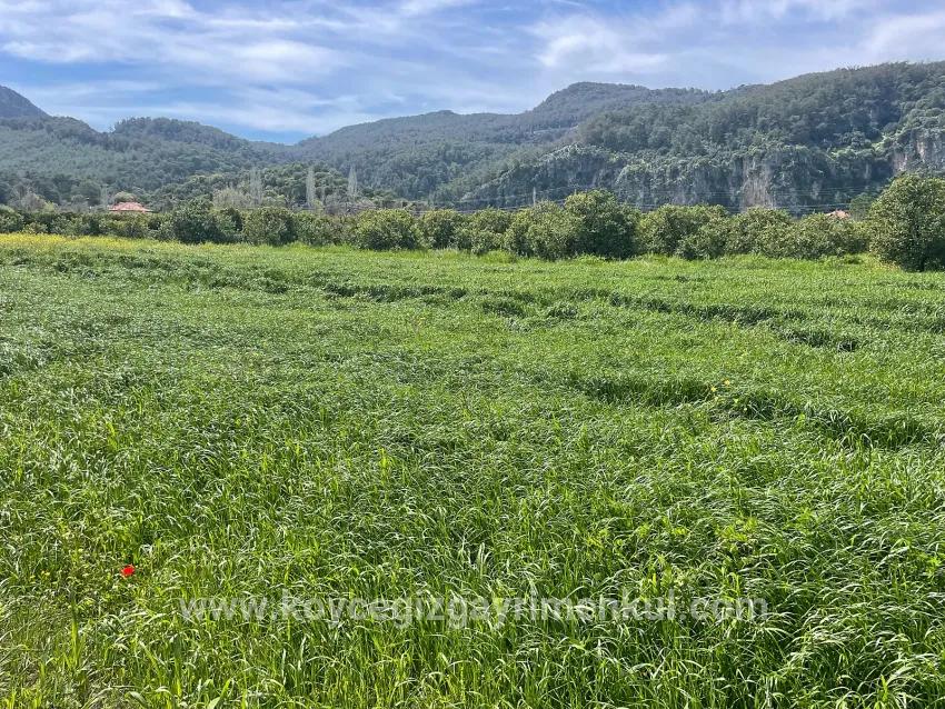В Окчуларе 736m2 Общая Площадь 250m2 Строительная Разрешение Имеется Продается Земельный Участок