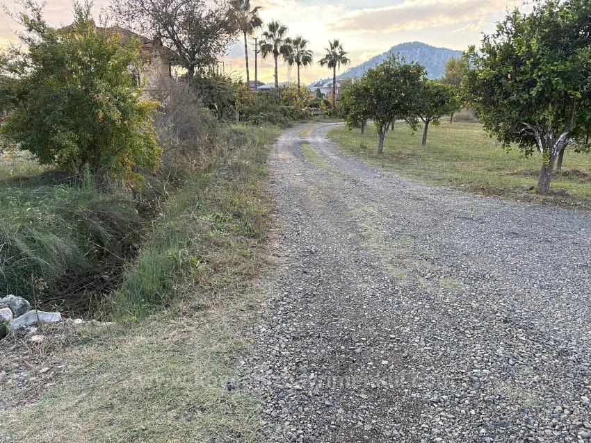 В Дальяне Продается Земельный Участок Площадью 7450 М² С Зонированием 5%.