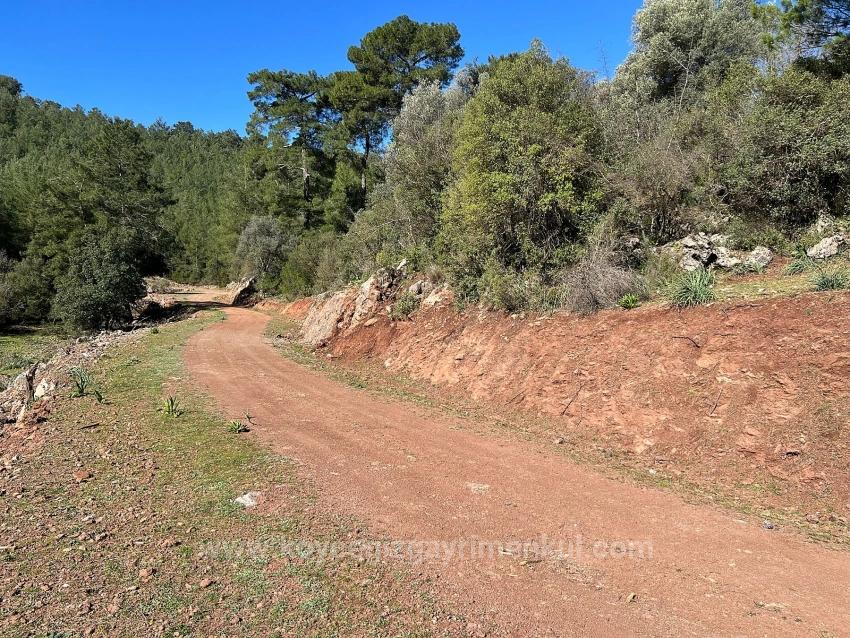 Продается Земельный Участок В Гёкбеле, В Окружении Природы И Леса.