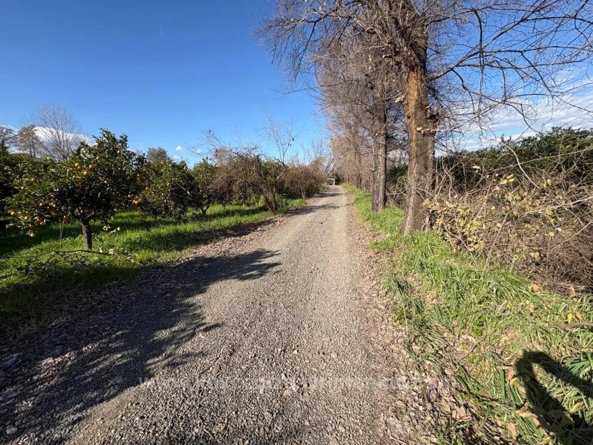 Продается Земельный Участок Площадью 4326 М² В Жилом Районе Окчулар.