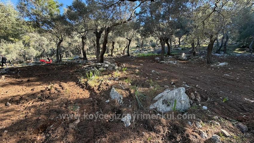 Поле 2B Площадью 5715 М2 С Панорамным Видом На Море В Чандыре