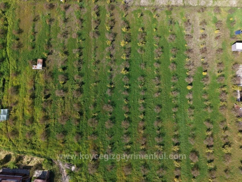 Продается Туристический Бизнес На Земельном Участке Площадью 11 000 М2 В Эскикёе.