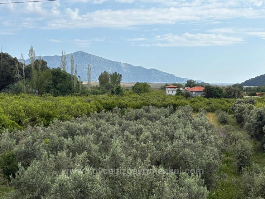 Продается Поле Площадью 1.721М2 С Видом На Море И Озеро В Деревне Чандыр