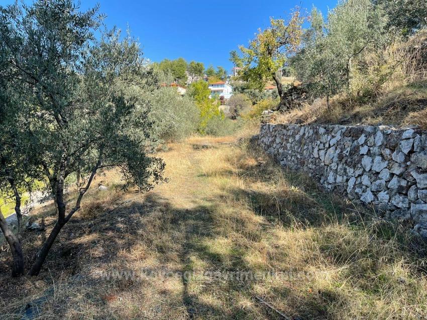 Земля 3514M2 На Продажу С Панорамным Видом На Море В Гёкбеле