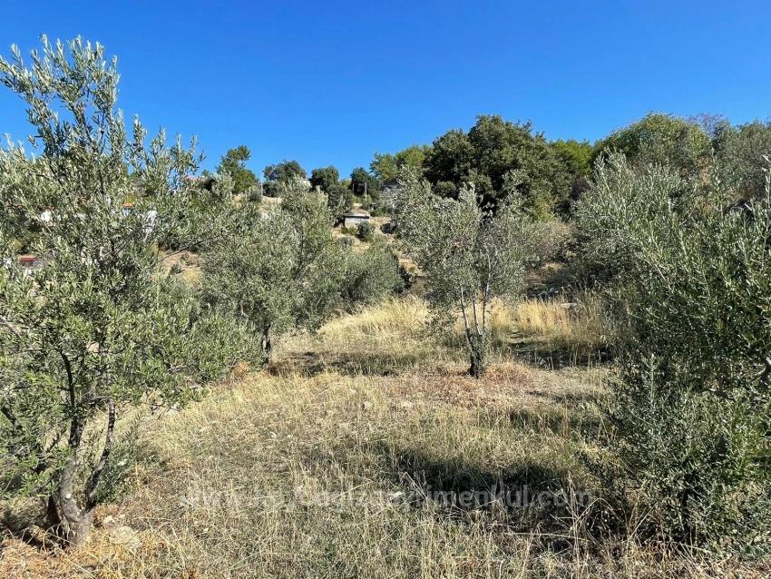 Земля 3514M2 На Продажу С Панорамным Видом На Море В Гёкбеле