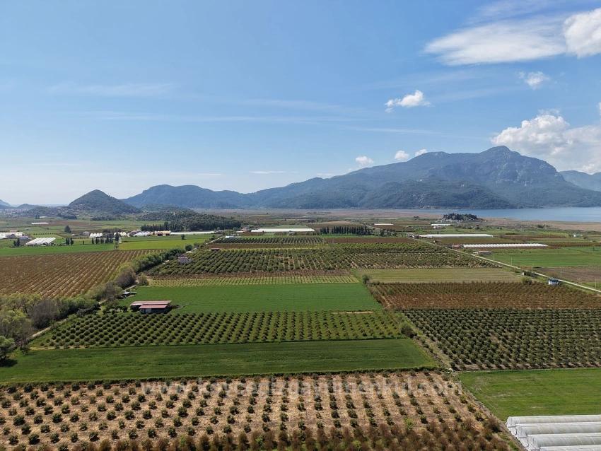 Гранатовый Сад Площадью 16 000 М² Продается В Эскикёе.