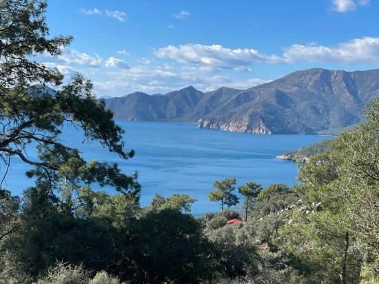 Чандыр 20.000M2 2B С Полным Видом На Море На Продажу