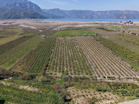 Гранатовый Сад Площадью 16.710 М2 На Продажу С Видом На Озеро В Эскикёй