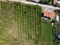 Для Продажи Сюжет в Okçular Ortaca - Под Жилье застройку - 1.050 m²