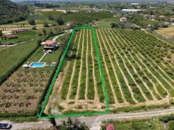Для Продажи Поле в Dalyan Ortaca - Под Поле застройку - 5.100 m²
