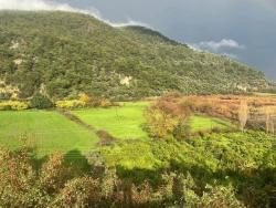 Для Продажи Земля в Çandır Köyceğiz - Под Поле застройку - 35.000 m²