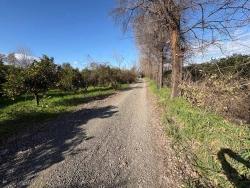 Продается Земельный Участок Площадью 4326 М² В Жилом Районе Окчулар.