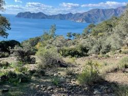 Чандыр 20.000M2 2B С Полным Видом На Море На Продажу