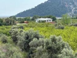 Для Продажи Поле в Çandır Köyceğiz - Под Поле застройку - 1.721 m²