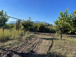 Для Продажи Поле в Dalyan Ortaca - Под Поле застройку - 6.600 m²
