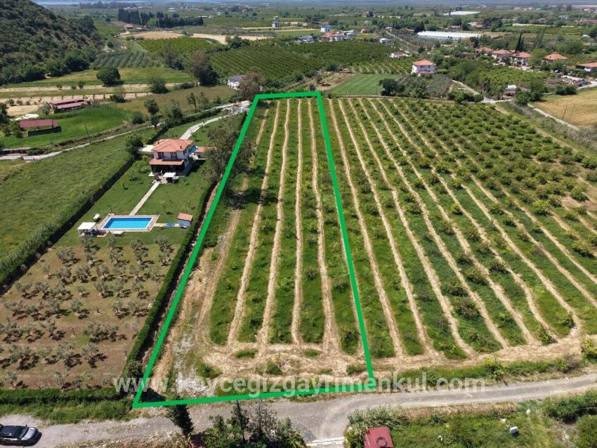Для Продажи Поле в Dalyan Ortaca - Под Поле застройку - 5.100 m²