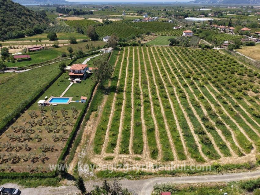 Для Продажи Поле в Dalyan Ortaca - Под Поле застройку - 5.100 m²