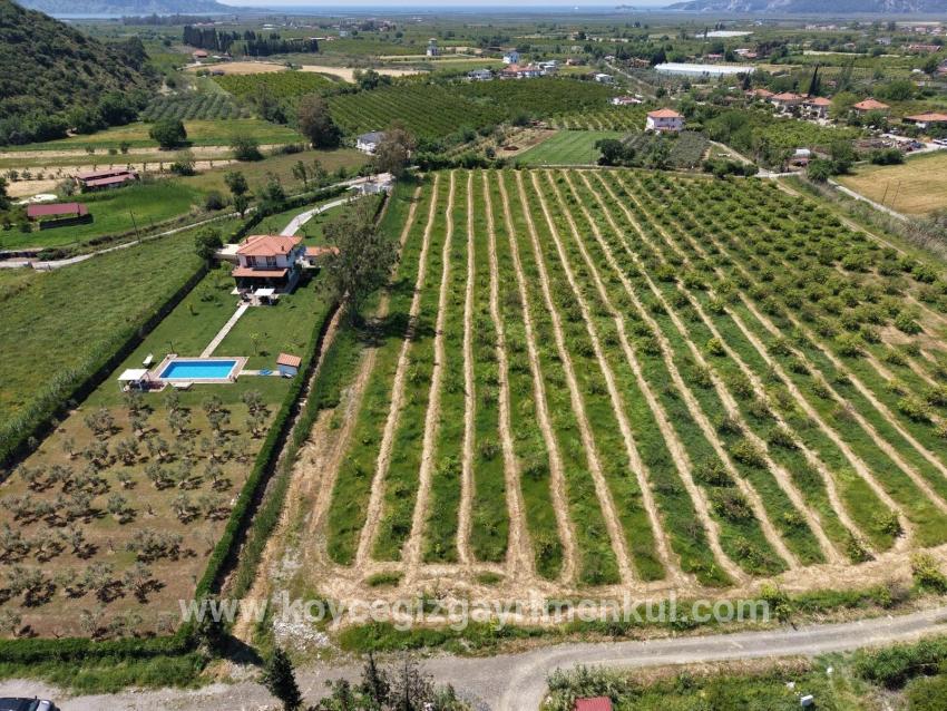 Для Продажи Поле в Dalyan Ortaca - Под Поле застройку - 5.100 m²