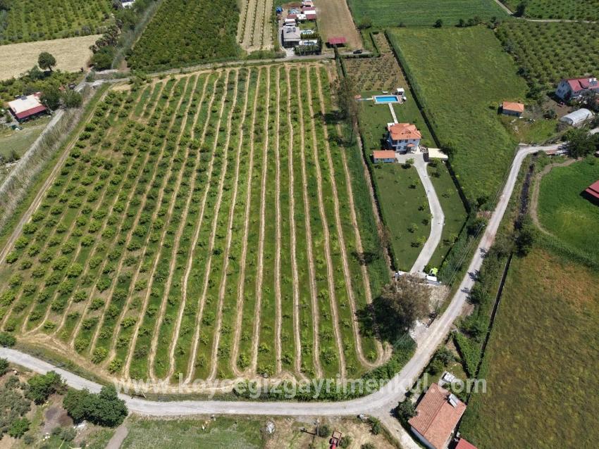 Для Продажи Поле в Dalyan Ortaca - Под Поле застройку - 5.100 m²