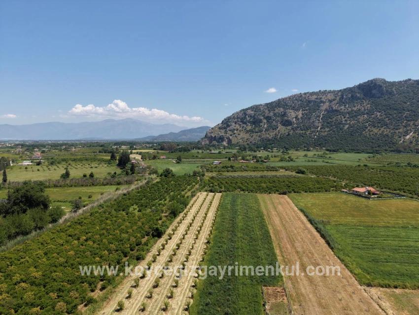 Для Продажи Поле в Dalyan Ortaca - Под Поле застройку - 5.100 m²