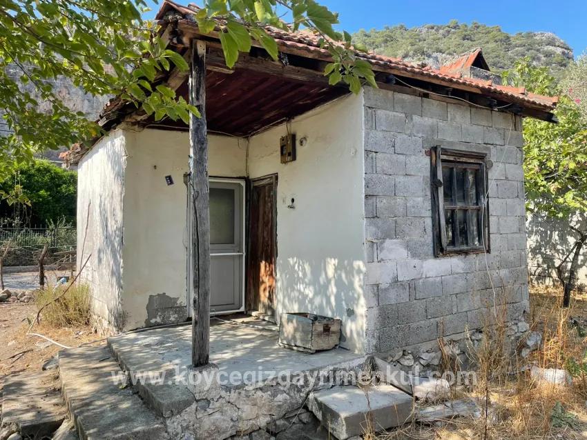 Для Продажи Семейный Дом 1+0 в Çandır Köyceğiz - 2.765 m²